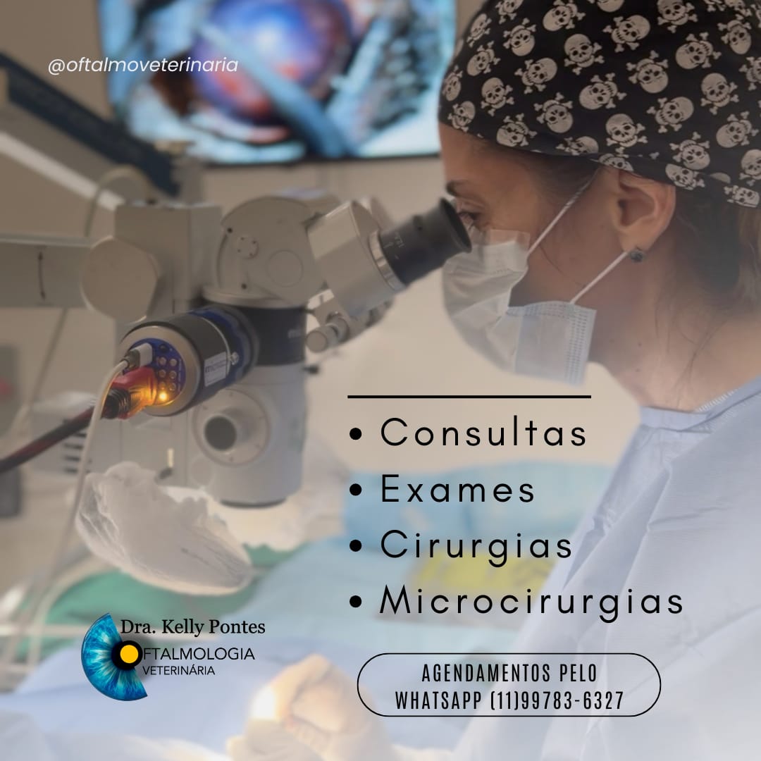 Oftalmologia Veterinária Dra. Kelly Pontes — foto 4